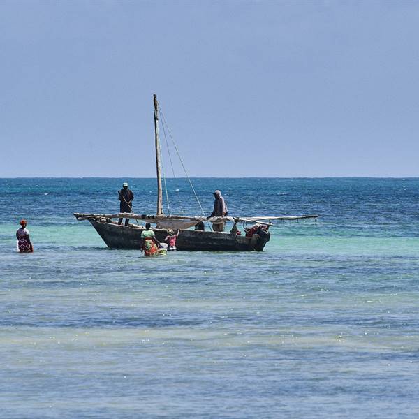 Cozy Point Homes - Essence of Africa - Kenya - Malindi